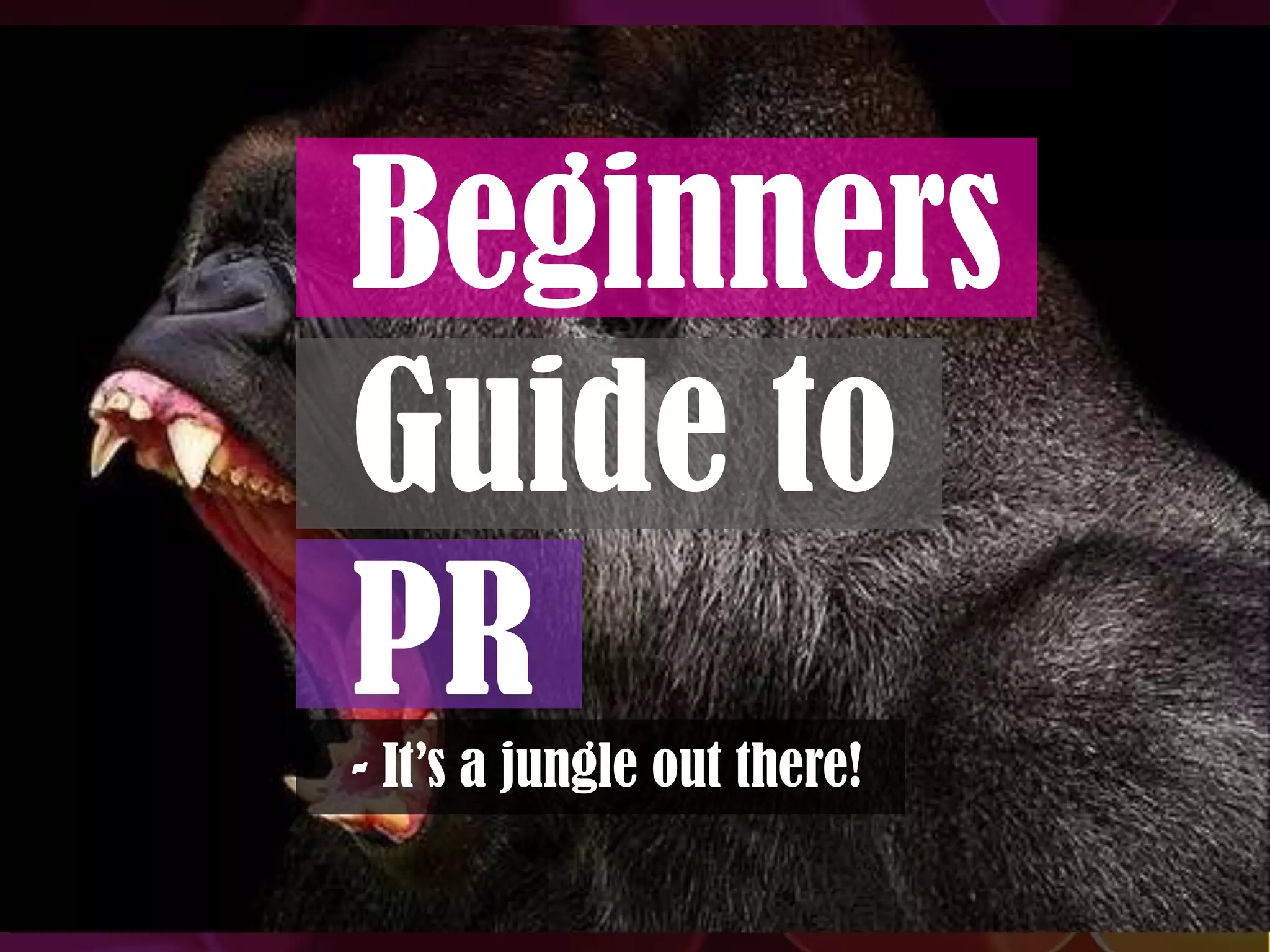 Beginners
Guide to
PR
- It’s a jungle out there!
