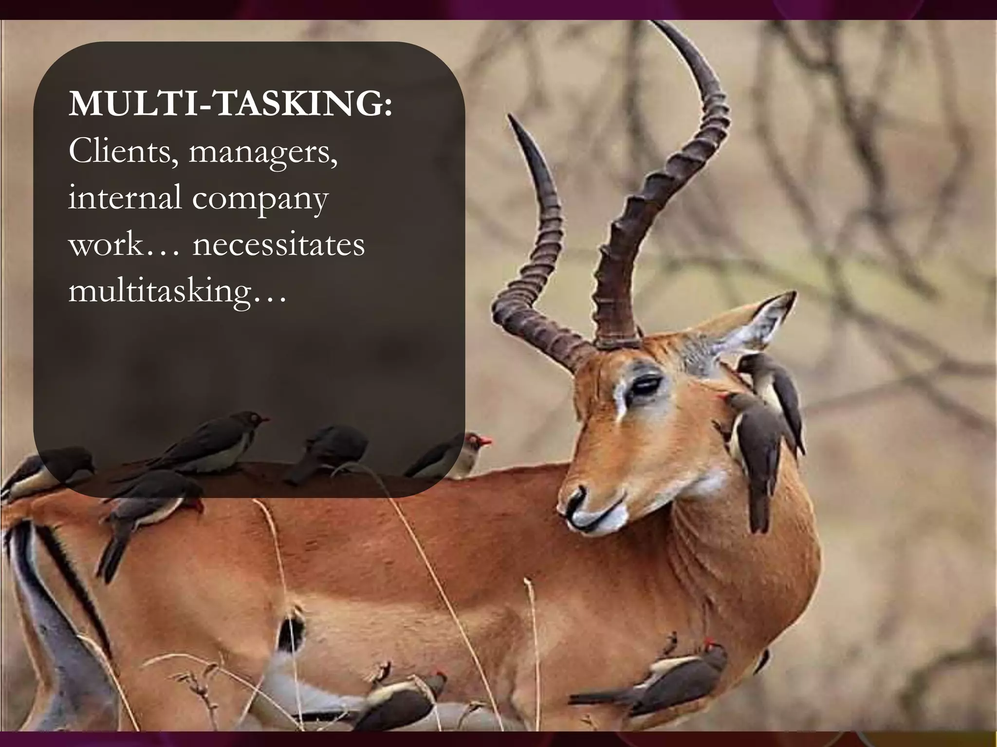 MULTI-TASKING:
Clients, managers,
internal company
work… necessitates
multitasking…