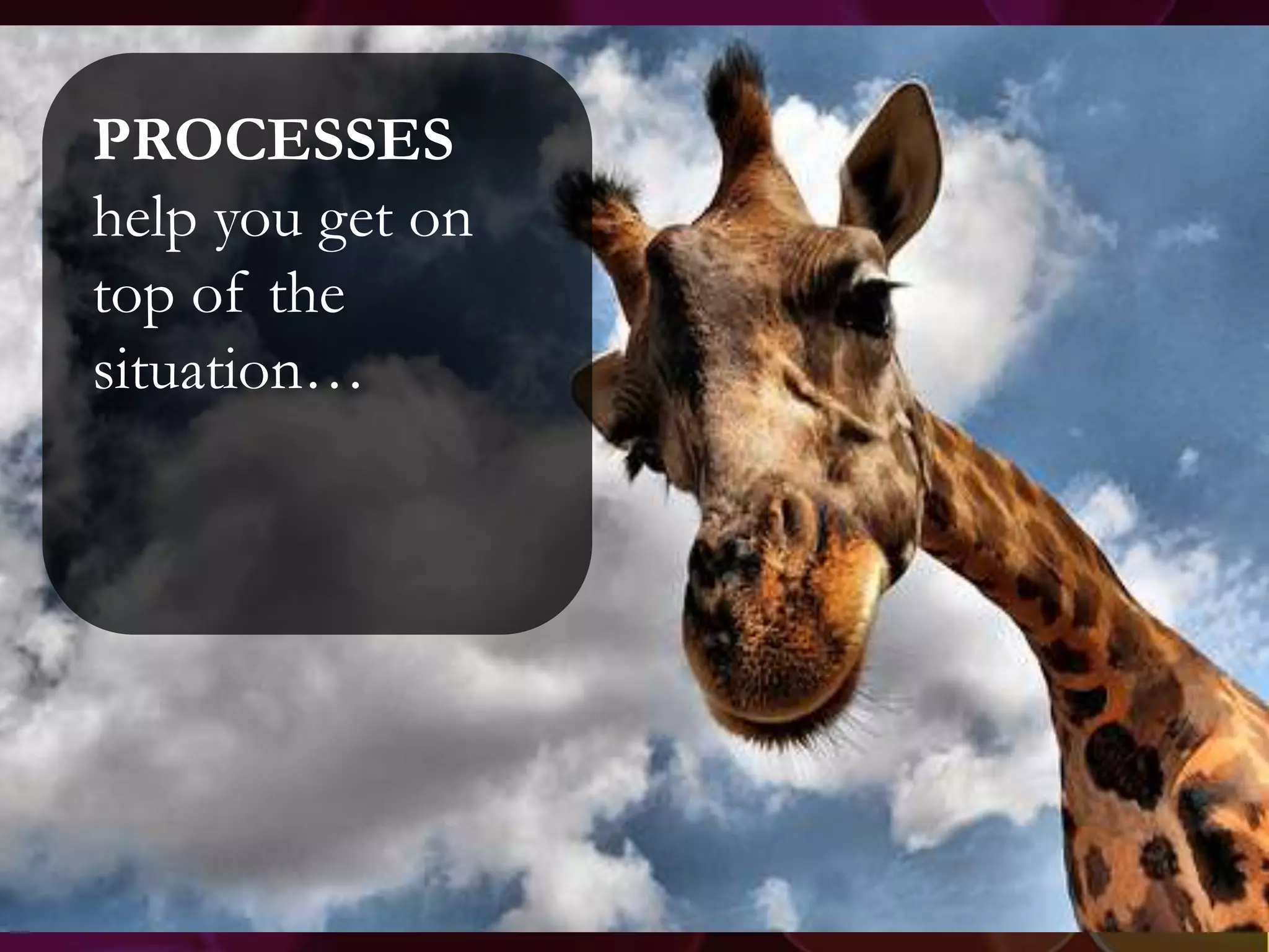 PROCESSES
help you get on
top of the
situation…