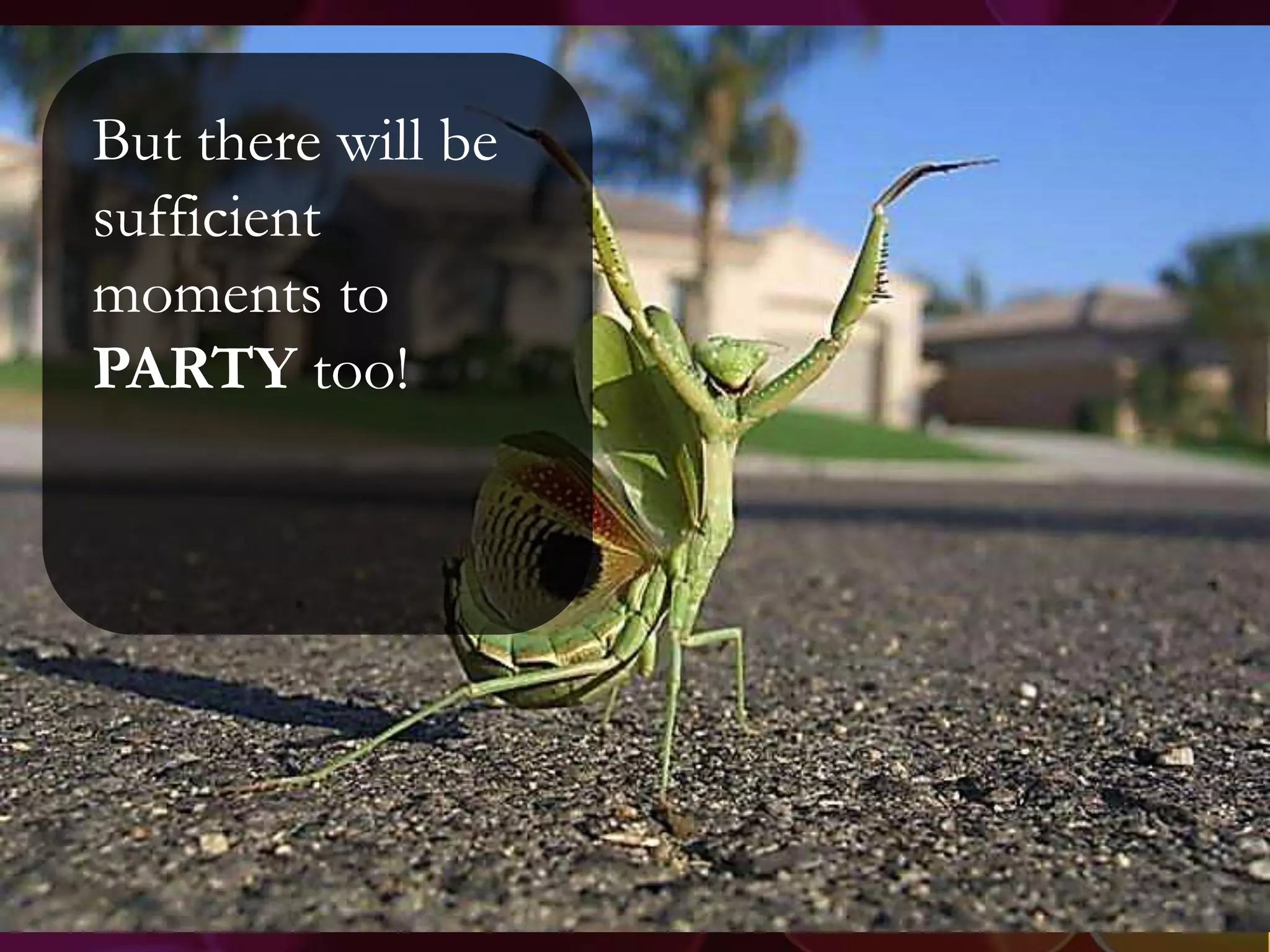 But there will be
sufficient
moments to
PARTY too!