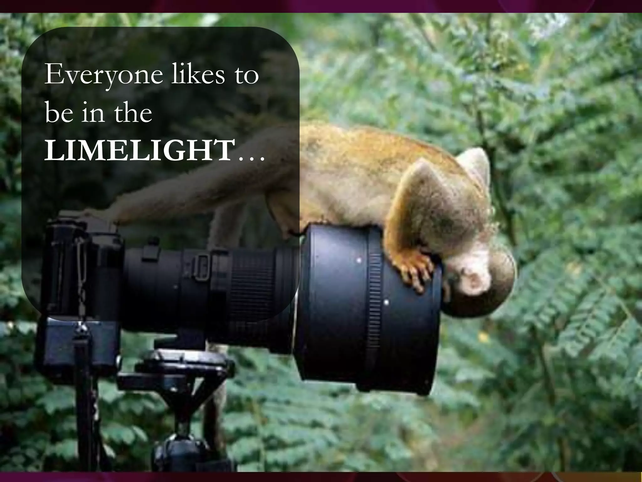 Everyone likes to
be in the
LIMELIGHT…