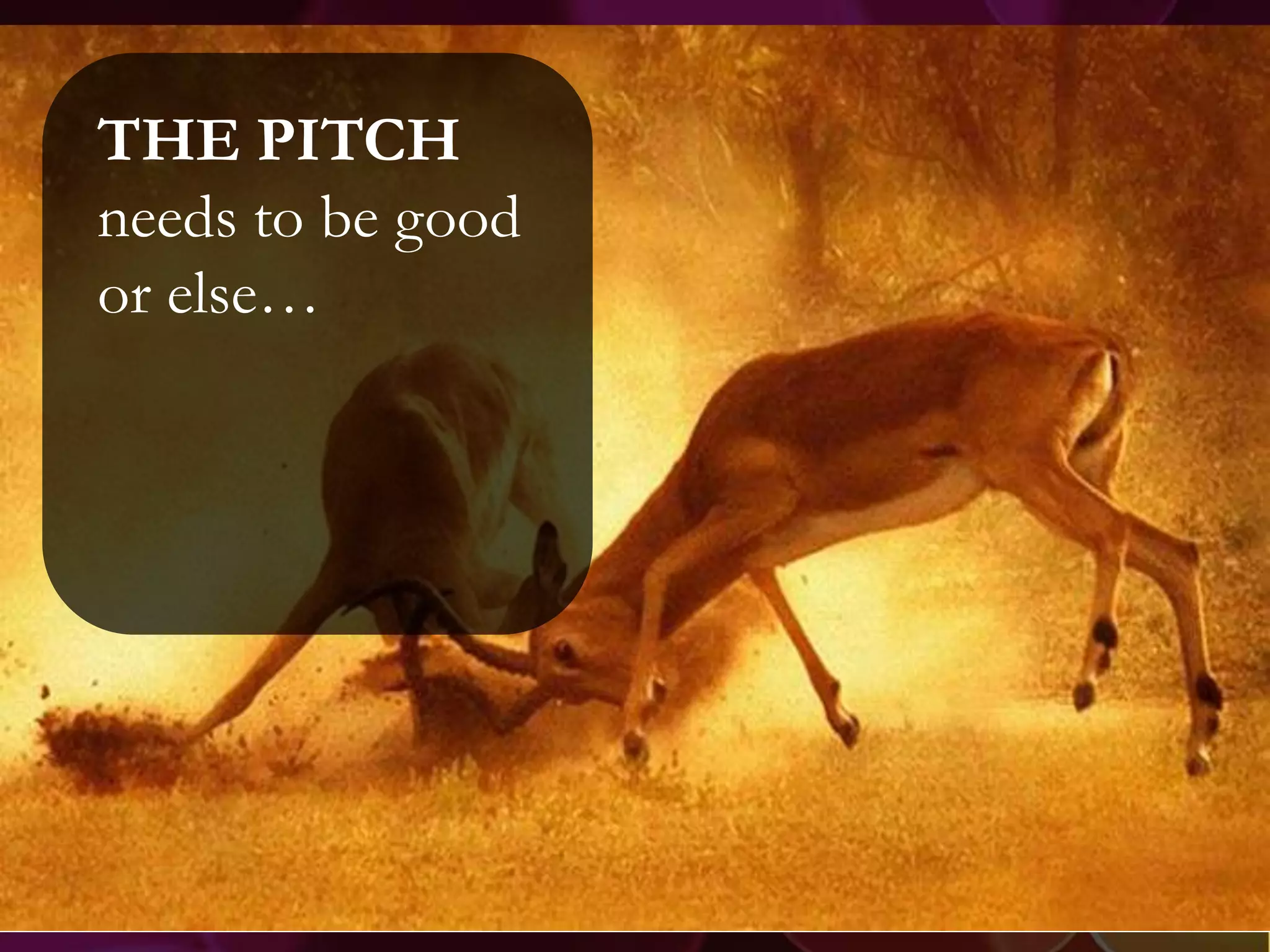 THE PITCH
needs to be good
or else…