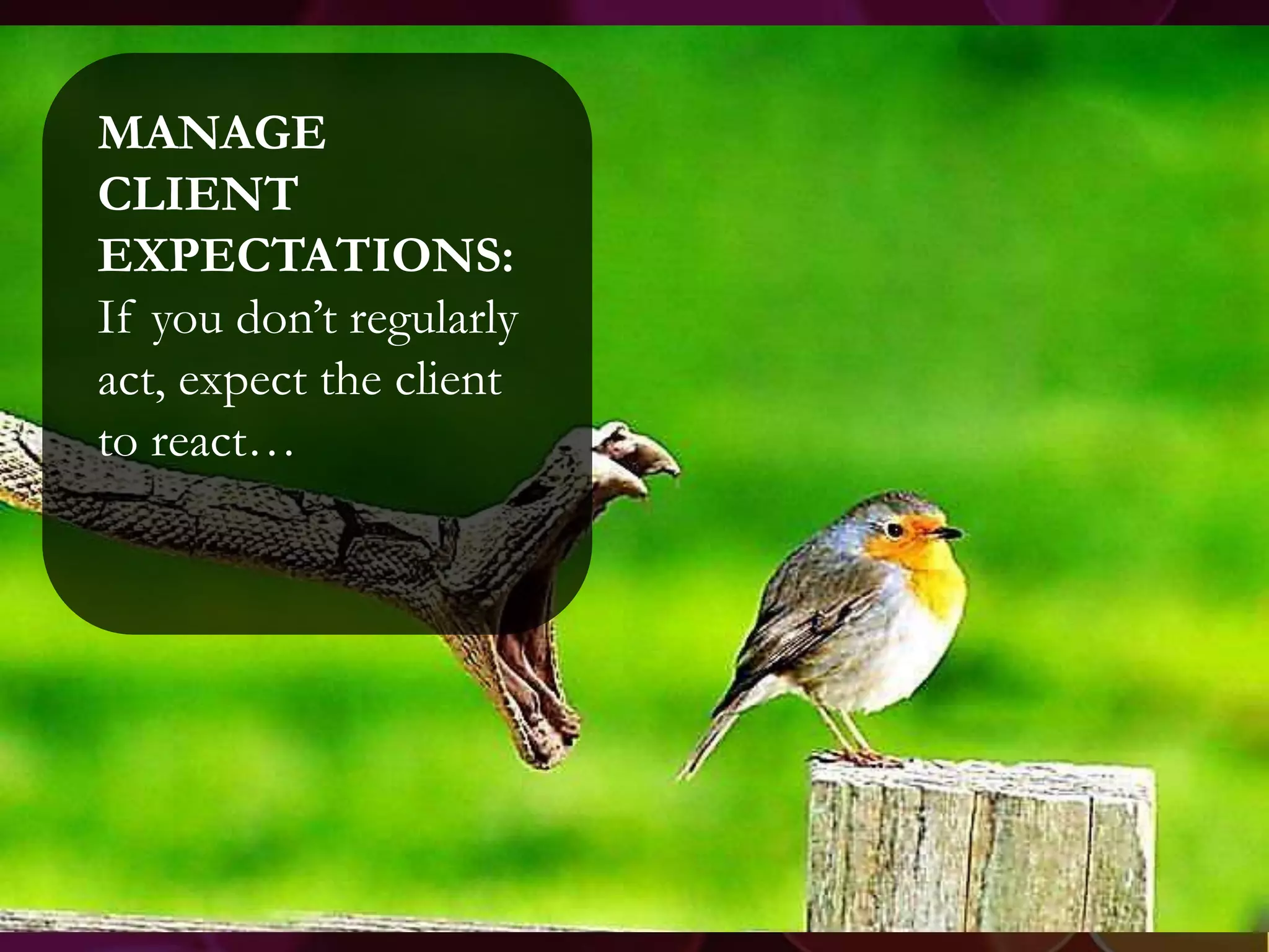 MANAGE
CLIENT
EXPECTATIONS:
If you don’t regularly
act, expect the client
to react…