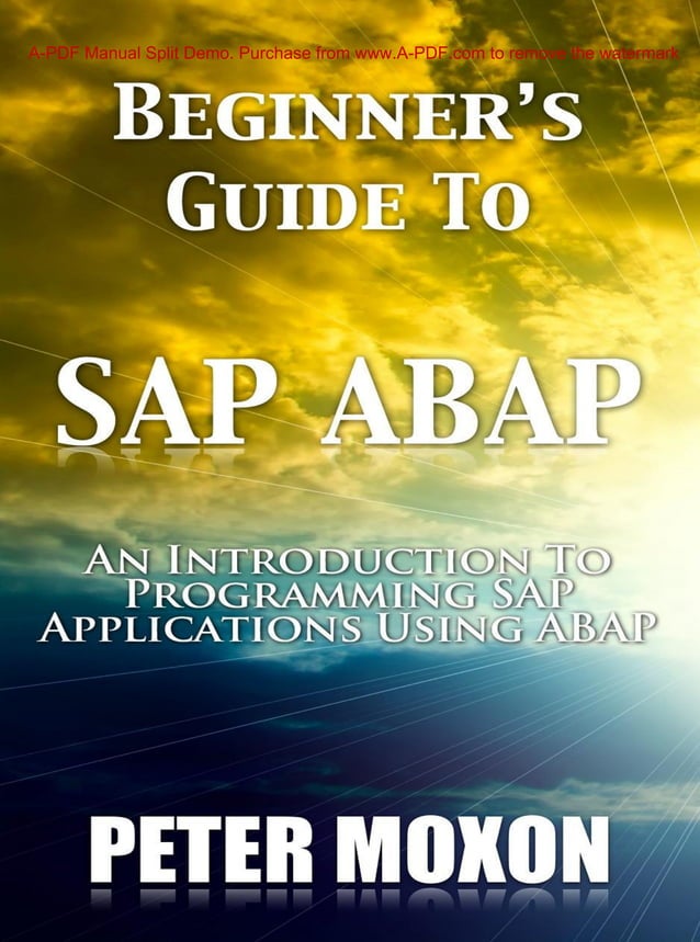 Beginner’s guide to sap abap 1 | PDF | Databases | Computer Software ...