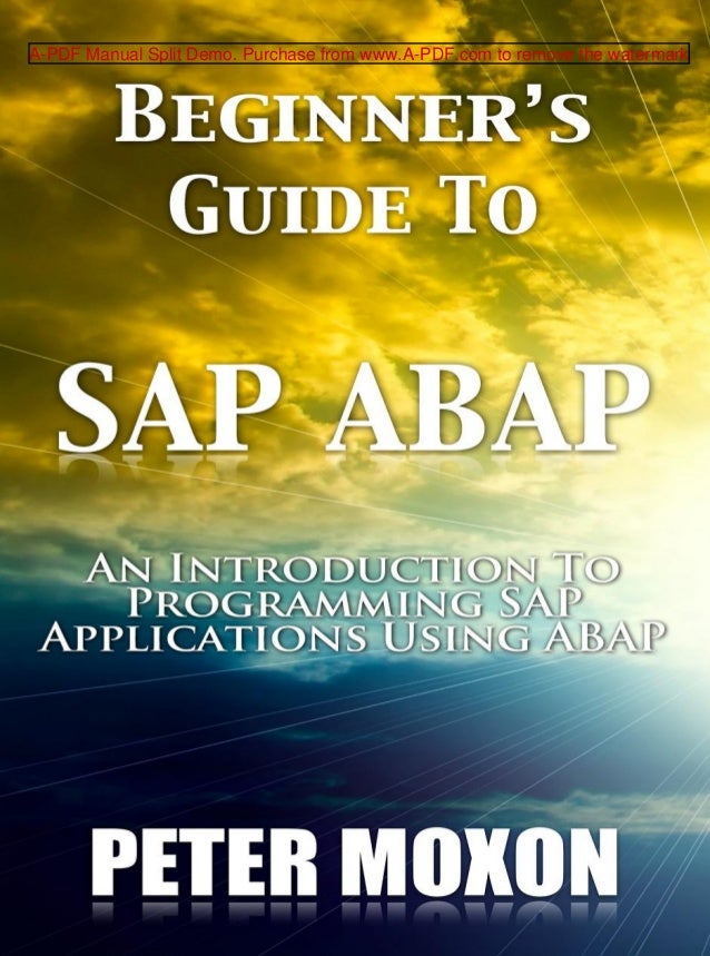 beginners guide to sap abap 1 sap for beginners