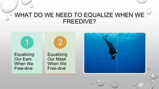 WHAT DO WE NEED TO EQUALIZE WHEN WE
FREEDIVE?
Equalizing
Our Ears
When We
Free-dive
1
Equalizing
Our Mask
When We
Free-dive
2
 