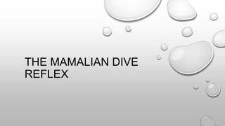 THE MAMALIAN DIVE
REFLEX
 