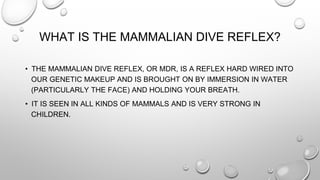 WHAT IS THE MAMMALIAN DIVE REFLEX?
• THE MAMMALIAN DIVE REFLEX, OR MDR, IS A REFLEX HARD WIRED INTO
OUR GENETIC MAKEUP AND IS BROUGHT ON BY IMMERSION IN WATER
(PARTICULARLY THE FACE) AND HOLDING YOUR BREATH.
• IT IS SEEN IN ALL KINDS OF MAMMALS AND IS VERY STRONG IN
CHILDREN.
 