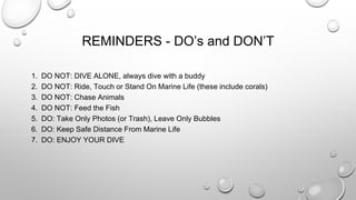 REMINDERS - DO’s and DON’T
1. DO NOT: DIVE ALONE, always dive with a buddy
2. DO NOT: Ride, Touch or Stand On Marine Life (these include corals)
3. DO NOT: Chase Animals
4. DO NOT: Feed the Fish
5. DO: Take Only Photos (or Trash), Leave Only Bubbles
6. DO: Keep Safe Distance From Marine Life
7. DO: ENJOY YOUR DIVE
 