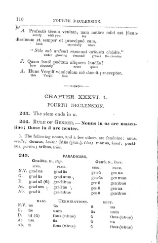 Beginners latin book