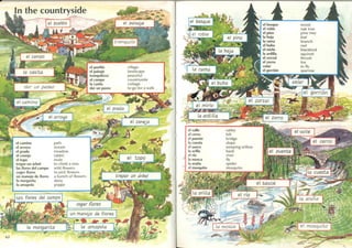 Beginner's spanish dictionary