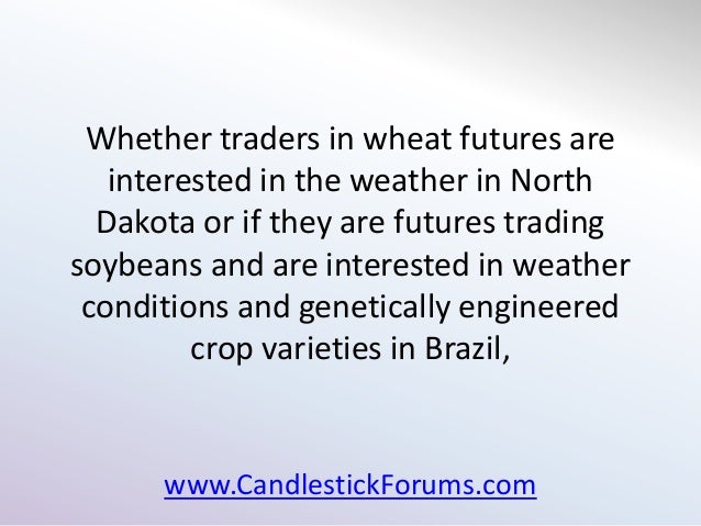 Commodity options trader jobs