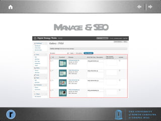 Manage & SEO 