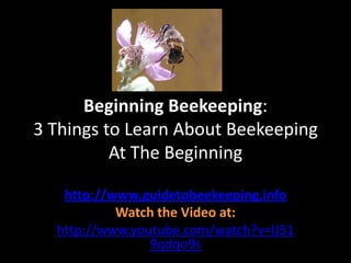 Beginning Beekeeping: 3 Things to Learn About Beekeeping At The Beginning http://www.guidetobeekeeping.info Watch the Video at: http://www.youtube.com/watch?v=lJ519qdqo9s 