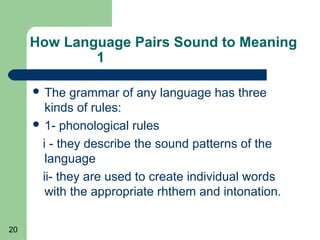 How Language Pairs Sound to Meaning
             1

      The  grammar of any language has three
       kinds of rules:
      1- phonological rules

      i - they describe the sound patterns of the
       language
      ii- they are used to create individual words
       with the appropriate rhthem and intonation.

20
 