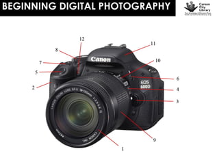 BEGINNING DIGITAL PHOTOGRAPHY

 