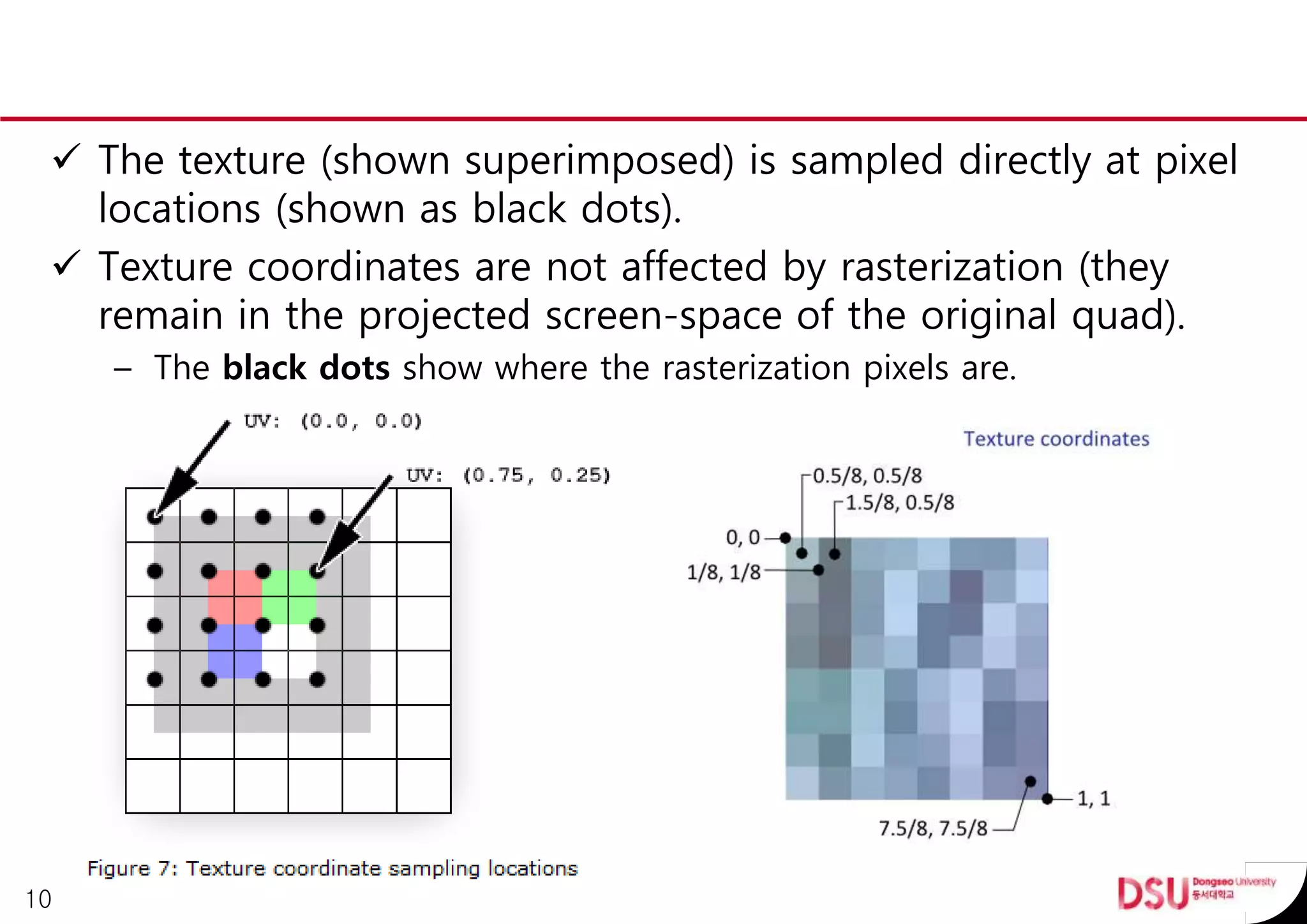  The texture (shown superimposed) is sampled directly at pixel
locations (shown as black dots).
 Texture coordinates are not affected by rasterization (they
remain in the projected screen-space of the original quad).
– The black dots show where the rasterization pixels are.
10
 