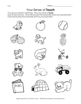 touch                                                        Name _________________________

                           Your Sense of Touch
You use your hands to feel things. This is your sense of touch.
Look at each picture. Circle the pictures that would feel hard if you touched them.
Color the pictures that would feel soft if you touched them.




           Beginning science unit: Sense of touch. Worksheet provided by www.tlsbooks.com
 