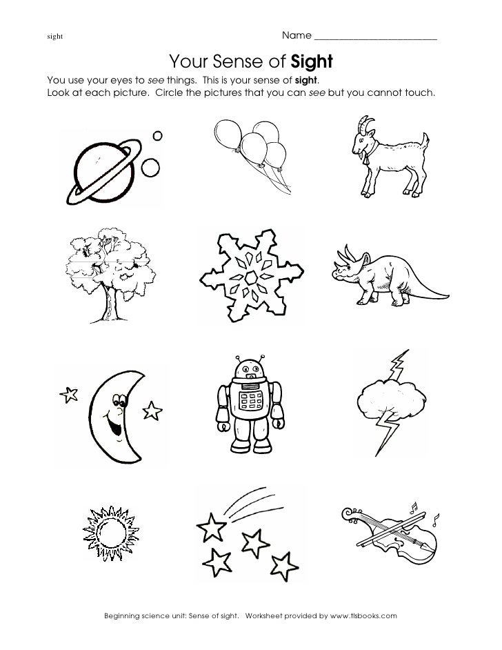 APRENDER CIENCIAS NATURALES EN INGLÉS