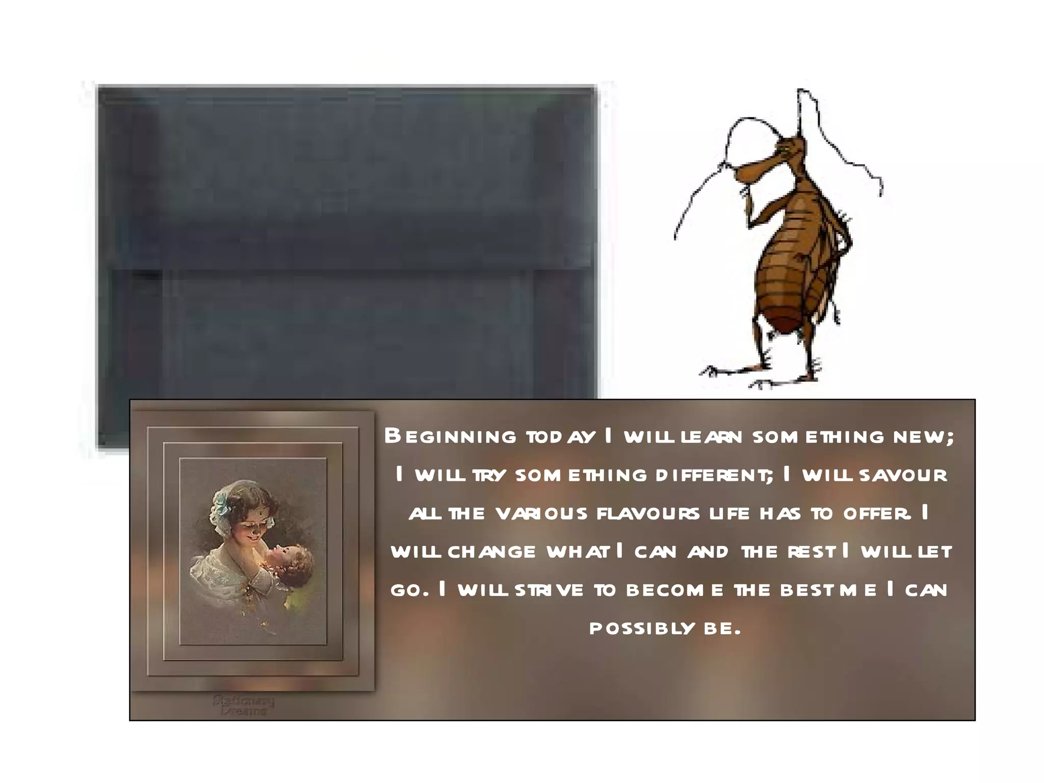 Beginning today I will learn something new; I will try something different; I will savour all the various flavours life has to offer. I will change what I can and the rest I will let go. I will strive to become the best me I can possibly be.  