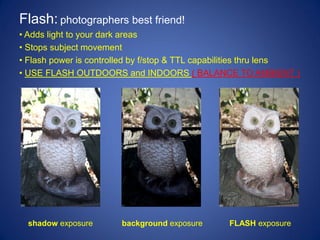 Flash: photographers best friend!
• Adds light to your dark areas
• Stops subject movement
• Flash power is controlled by f/stop & TTL capabilities thru lens
• USE FLASH OUTDOORS and INDOORS ( BALANCE TO AMBIENT )




  shadow exposure       background exposure      FLASH exposure
 