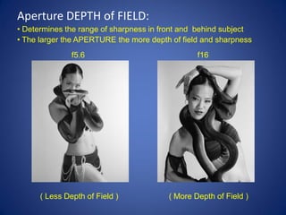 Aperture DEPTH of FIELD:
• Determines the range of sharpness in front and behind subject
• The larger the APERTURE the more depth of field and sharpness
               f5.6                             f16




      ( Less Depth of Field )           ( More Depth of Field )
 