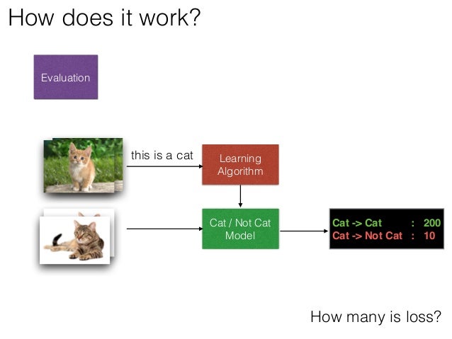 cat recognition deep learning