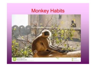 Monkey Habits
rravindrakumar@yahoo.com
 