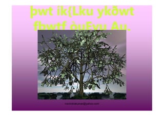 þwt ík{Lku ykðwt
fþwtf òuEyu Au.
rravindrakumar@yahoo.com
 