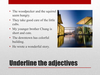 • The woodpecker and the squirrel
  seem hungry.
• They take good care of the little
  cubs.
• My younger brother Chung is
  short and cute.
• The downtown has colorful
  building.
• He wrote a wonderful story.




Underline the adjectives
 