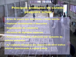 Principais problemas do sistema
pesqueiro actual
• Artes de pesca que deterioran o fondo mariño
• Capturas involuntarias e descartes
• Esgotamento de caladoiros
• Escaseza de algunhas especies
• Pesca cada vez máis ineficiente por aumento do
esforzo pesqueiro
• As capturas diríxense ata especies do nivel trófico
inferior, deteriorando a cadea trófica
 