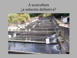 A acuicultura  
¿a solución definitiva?
 