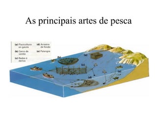 As principais artes de pesca
 