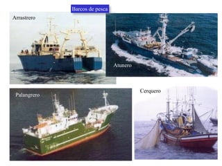 Arrastrero
Palangrero
Cerquero
Atunero
Barcos de pesca
 