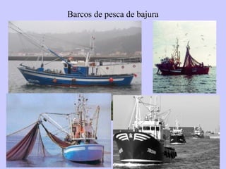 Barcos de pesca de bajura
 
