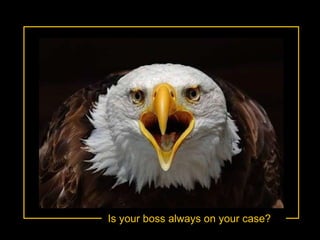 Is your boss always on your case? 