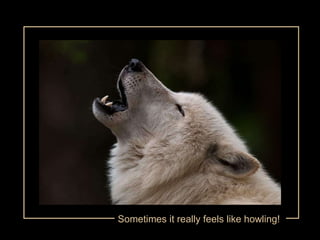 Sometimes it really feels like howling! 