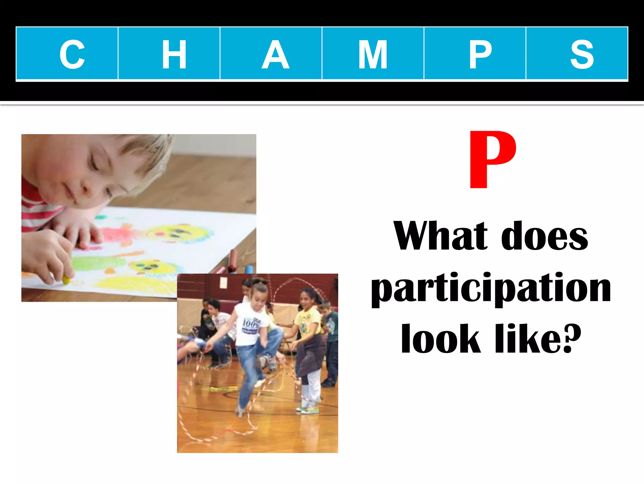 C   H   A   M    P    S


                 P
             What does
            participation
             look like?
 