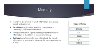 Memory
 Memory is the process in which information is encoded,
stored, and retrieved.
 Encoding or registration: receivi...