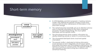 Short-term memory
 In 1974 Baddeley and Hitch proposed a "working memory
model" that replaced the general concept of shor...