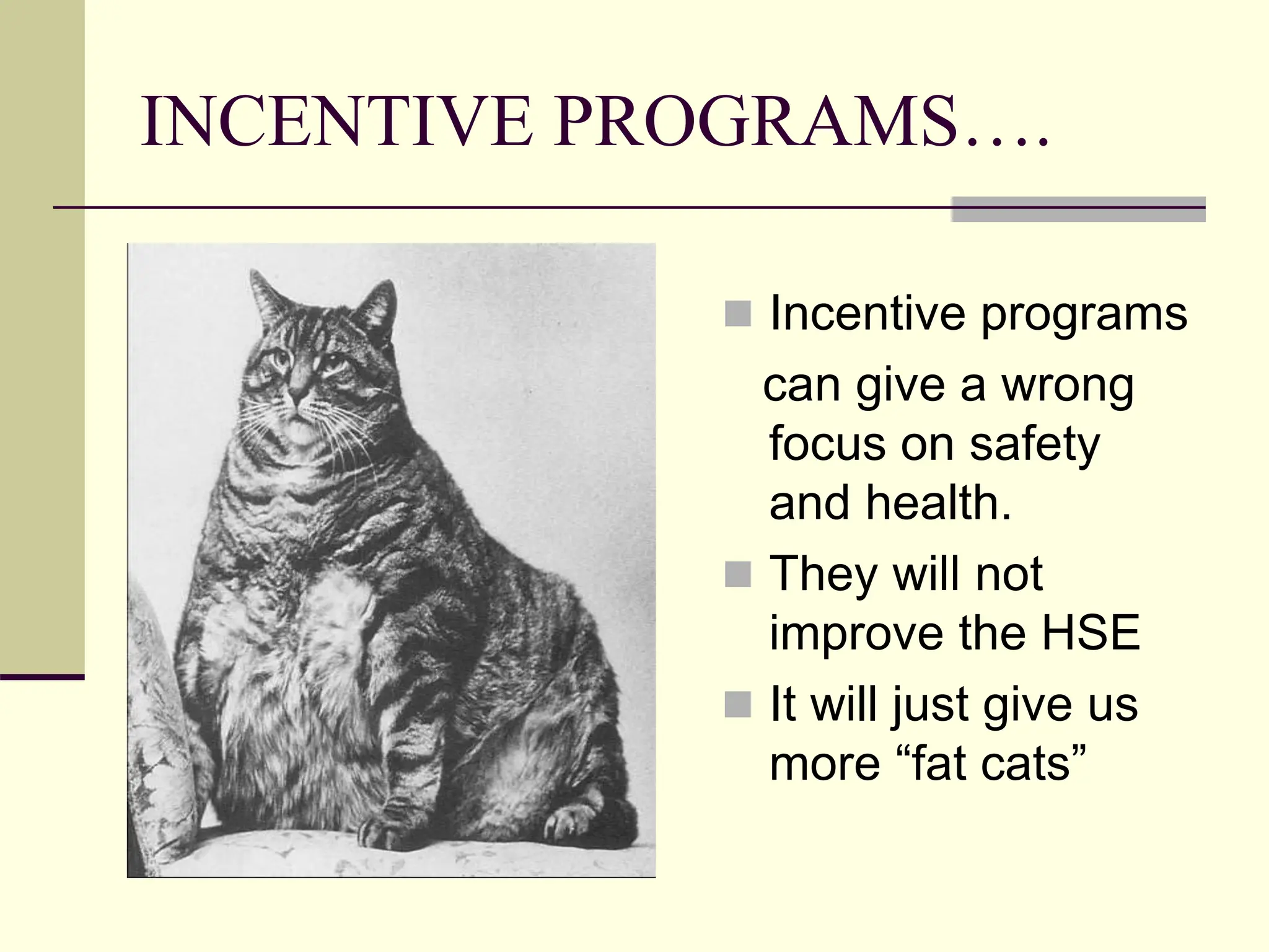 INCENTIVE PROGRAMS….
 Incentive programs
can give a wrong
focus on safety
and health.
 They will not
improve the HSE
 It will just give us
more “fat cats”
 