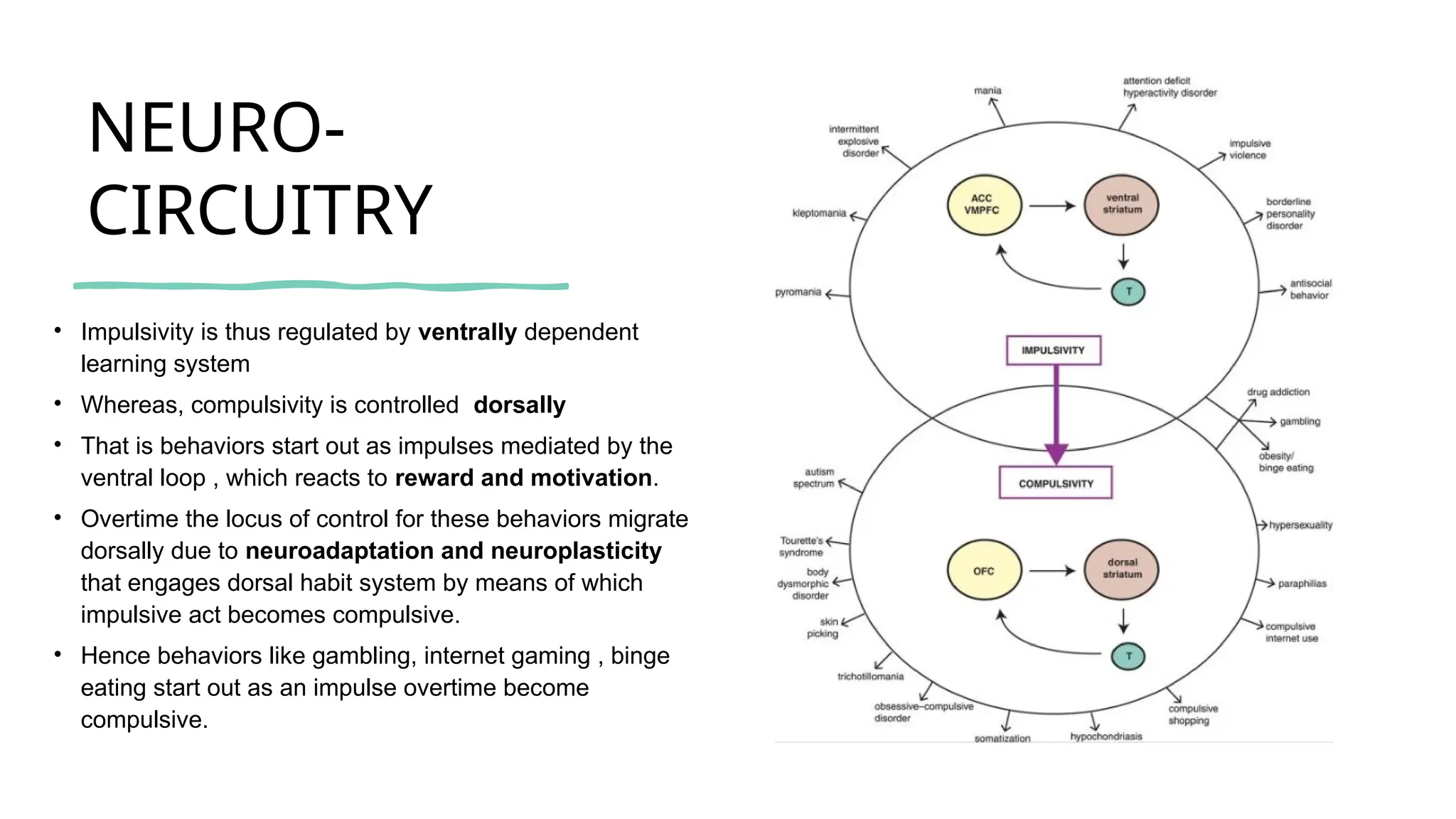 NEURO-
CIRCUITRY
• Impulsivity is thus regulated by ventrally dependent
learning system
• Whereas, compulsivity is controlled dorsally
• That is behaviors start out as impulses mediated by the
ventral loop , which reacts to reward and motivation.
• Overtime the locus of control for these behaviors migrate
dorsally due to neuroadaptation and neuroplasticity
that engages dorsal habit system by means of which
impulsive act becomes compulsive.
• Hence behaviors like gambling, internet gaming , binge
eating start out as an impulse overtime become
compulsive.
 