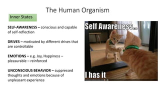 Focus Inner State Behavior Behavioral Analysis | PPTX