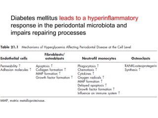 Diabetes mellitus leads to a hyperinflammatory
response in the periodontal microbiota and
impairs repairing processes
 