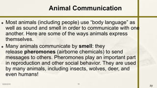 zy
 Most animals (including people) use “body language” as
well as sound and smell in order to communicate with one
another. Here are some of the ways animals express
themselves.
 Many animals communicate by smell: they
release pheromones (airborne chemicals) to send
messages to others. Pheromones play an important part
in reproduction and other social behavior. They are used
by many animals, including insects, wolves, deer, and
even humans!
9/25/2016 16
Animal Communication
 