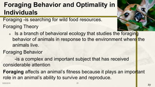 zy
Foraging -is searching for wild food resources.
Foraging Theory
 Is a branch of behavioral ecology that studies the foraging
behavior of animals in response to the environment where the
animals live.
Foraging Behavior
-is a complex and important subject that has received
considerable attention
Foraging affects an animal’s fitness because it plays an important
role in an animal’s ability to survive and reproduce.
9/25/2016 20
Foraging Behavior and Optimality in
Individuals
 