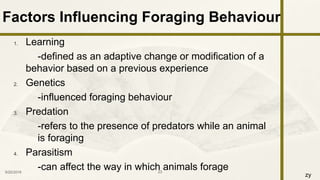 zy
1. Learning
-defined as an adaptive change or modification of a
behavior based on a previous experience
2. Genetics
-influenced foraging behaviour
3. Predation
-refers to the presence of predators while an animal
is foraging
4. Parasitism
-can affect the way in which animals forage9/25/2016 23
Factors Influencing Foraging Behaviour
 