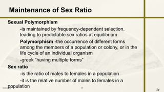 zy
Sexual Polymorphism
-is maintained by frequency-dependent selection,
leading to predictable sex ratios at equilibrium
Polymorphism -the occurrence of different forms
among the members of a population or colony, or in the
life cycle of an individual organism
-greek “having multiple forms”
Sex ratio
-is the ratio of males to females in a population
-it is the relative number of males to females in a
population9/25/2016 26
Maintenance of Sex Ratio
 