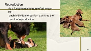 zy
Reproduction
-is a fundamental feature of all known
life;
each individual organism exists as the
result of reproduction
9/25/2016 28
 