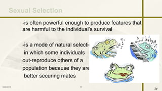 zy
-is often powerful enough to produce features that
are harmful to the individual’s survival
-is a mode of natural selection
in which some individuals
out-reproduce others of a
population because they are
better securing mates
9/25/2016 30
Sexual Selection
 